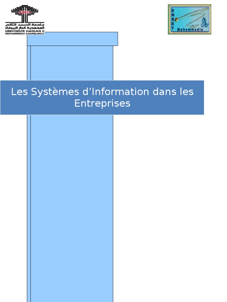 Systèmes d'Information et ERP en Entreprise | PDF | Progiciel de ...