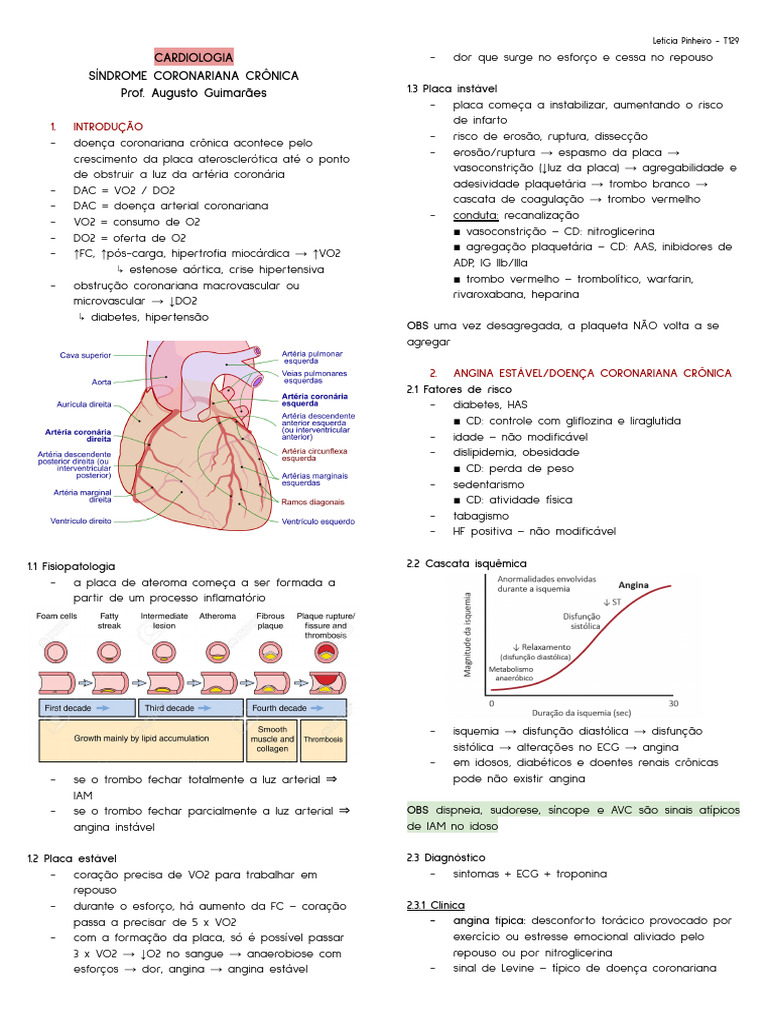 Síndrome Coronariana Crônica: Diagnóstico e Tratamento | PDF | Infarto ...