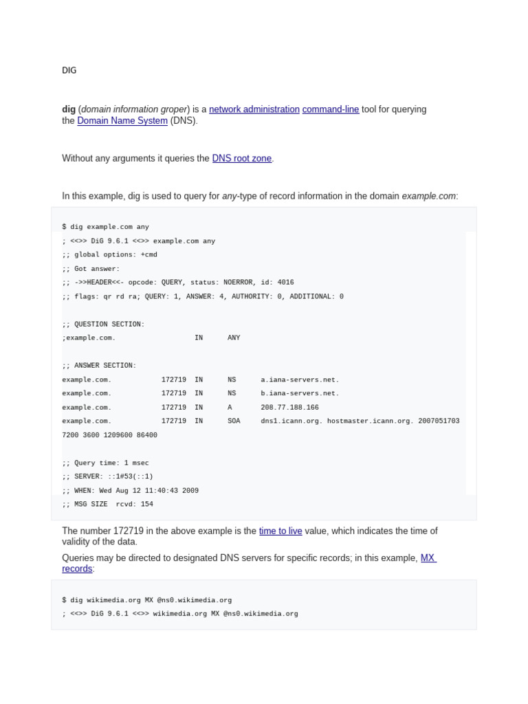 Using the dig Command for DNS Queries | PDF