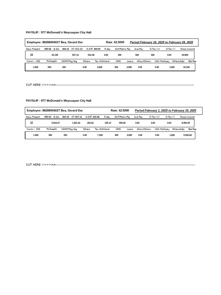 PAYSLIP 20 20977 20McDonald E2 80 99s 20meycuayan 20city 20hall PDF