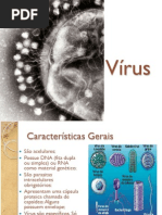 Vírus - Aula PPT