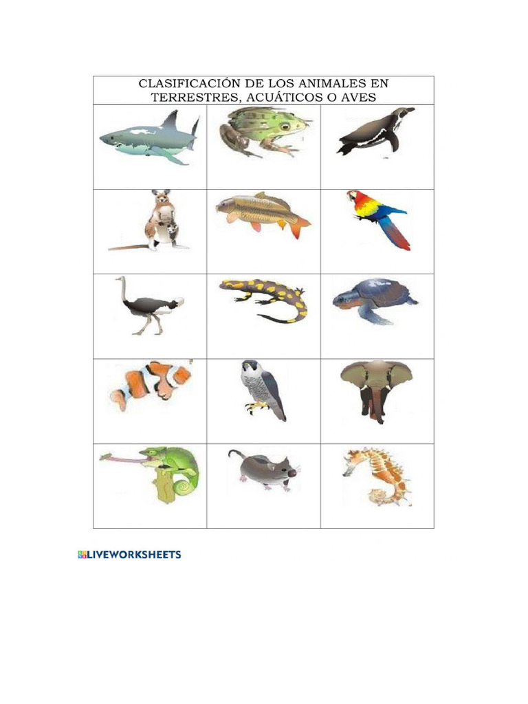 Animales | PDF