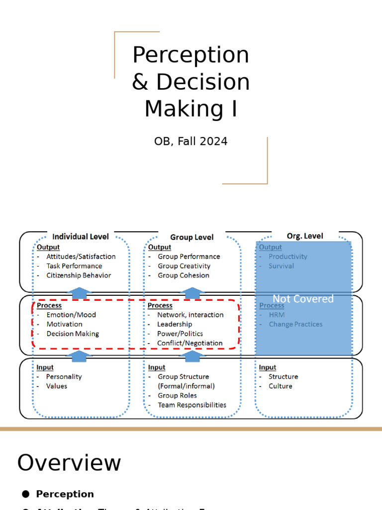 Perception and Decision-Making Insights | PDF | Decision Making ...