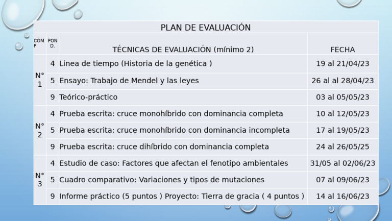 3er Año Plan de Evaluacion | PDF
