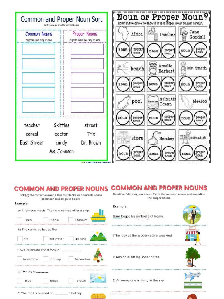 Proper Noun and Common Nouns | PDF