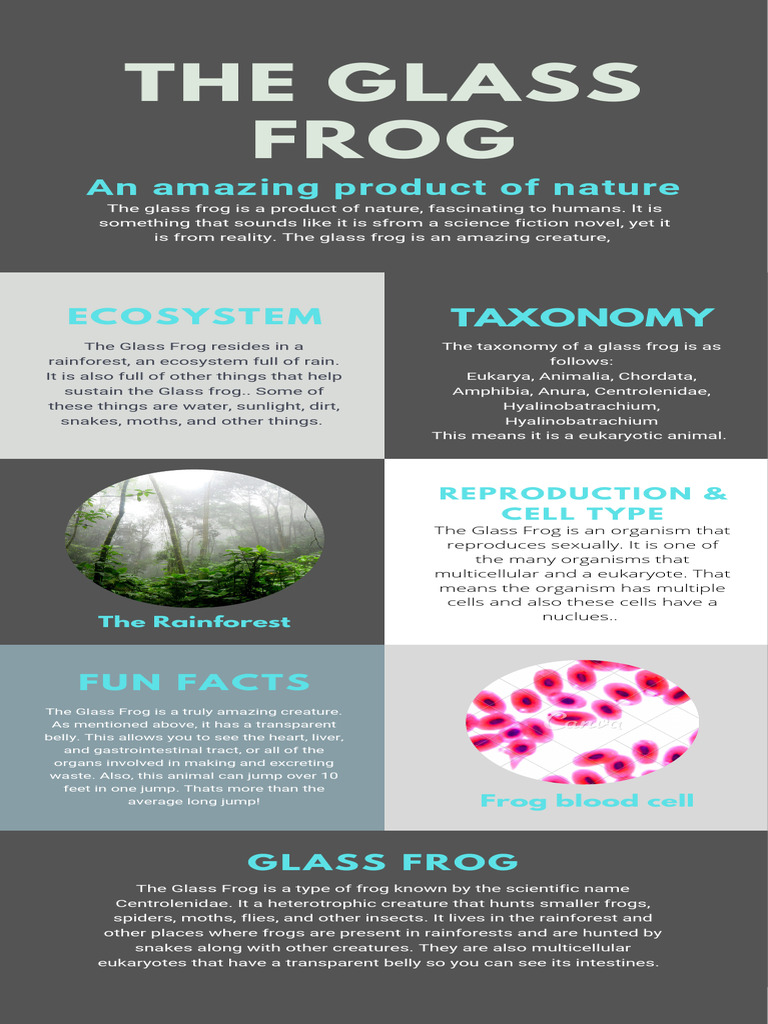 Glass Frog: Unique Traits and Habitat | PDF | Frog | Zoology