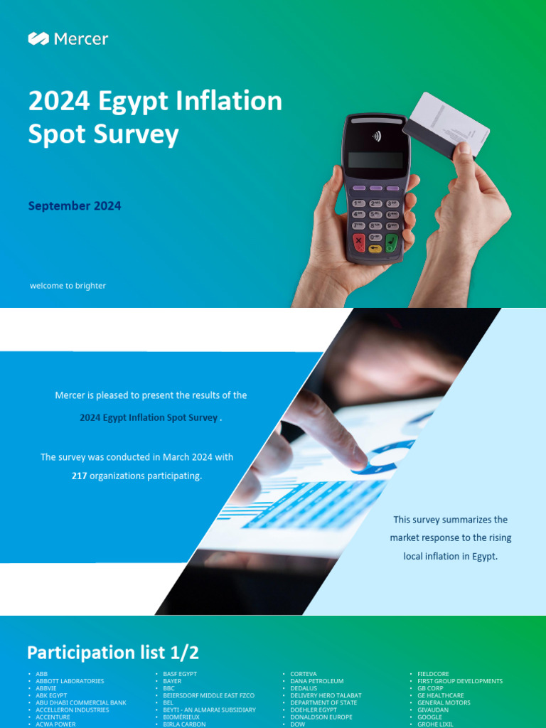 2024 Egypt Inflation Survey Results | PDF | Cost Of Living | Wage