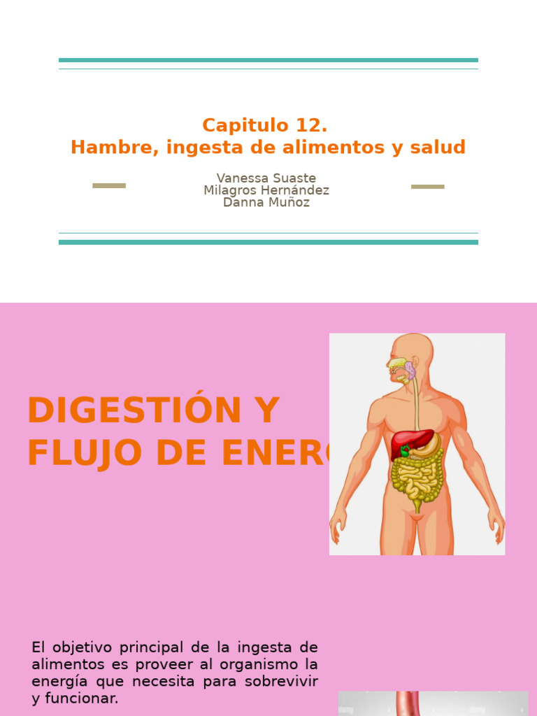 Hambre, Ingesta y Salud | PDF | Alimentos | Digestión
