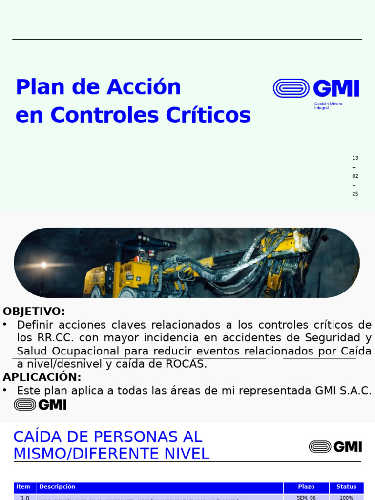 Plan de Acción para Controles Críticos | PDF