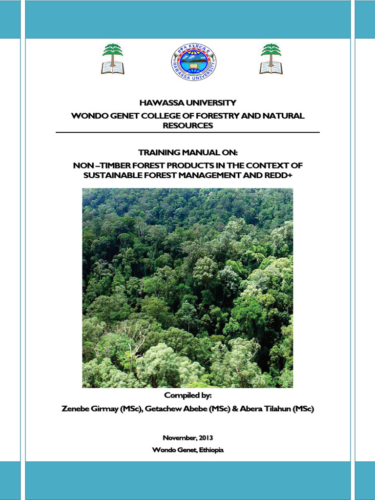 NTFPs and Sustainable Management in Ethiopia | PDF | Forests | Forest ...