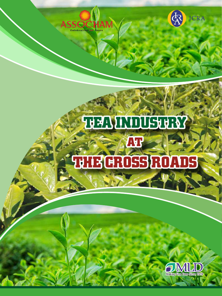 Tea Report Final | PDF