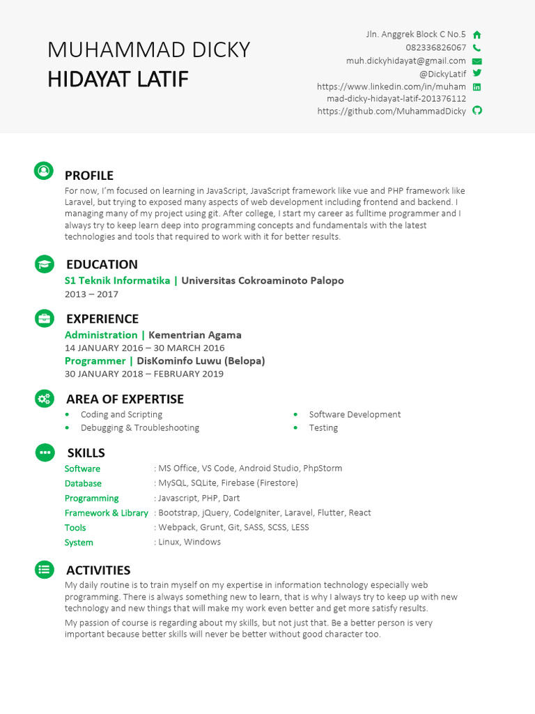 Web Development Portfolio Overview | PDF | Computing | Software Engineering