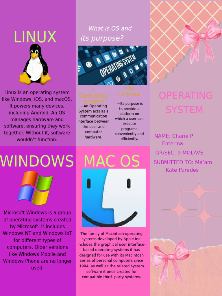 What Is OS and Its Purpose (Canvases (Portrait) ) | PDF