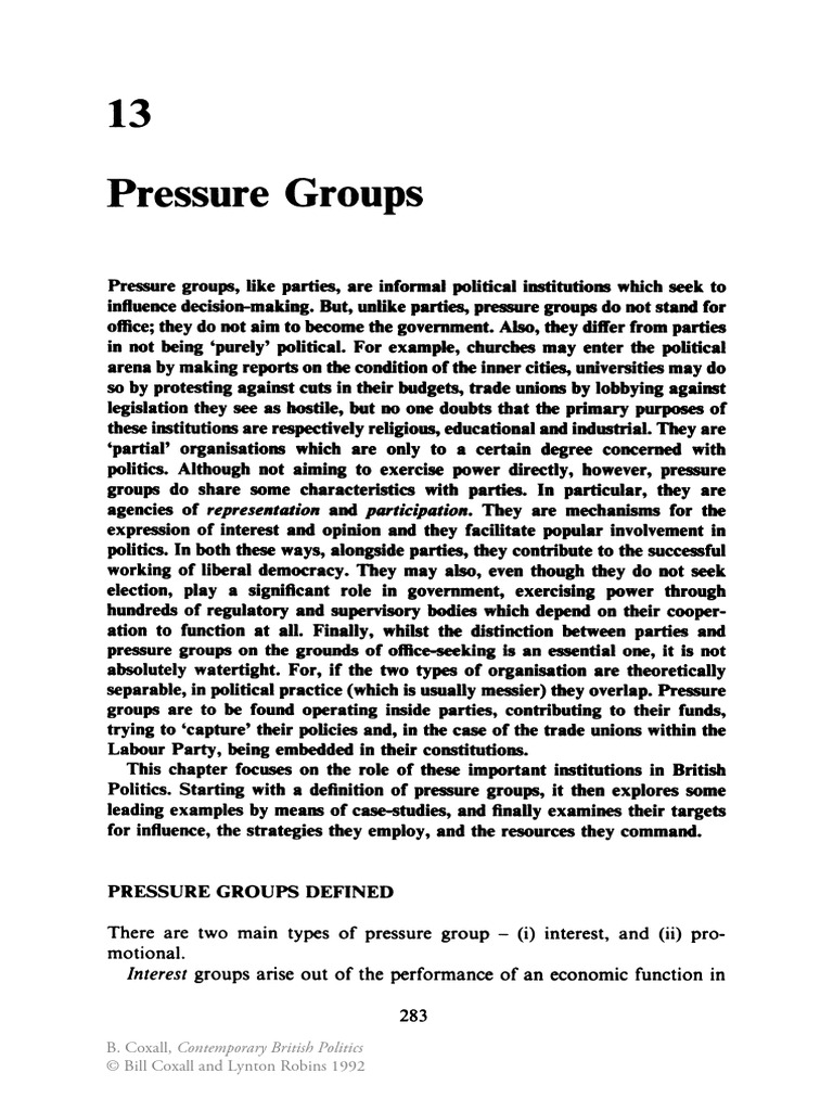 Role of Pressure Groups in Politics | PDF | Advocacy Group