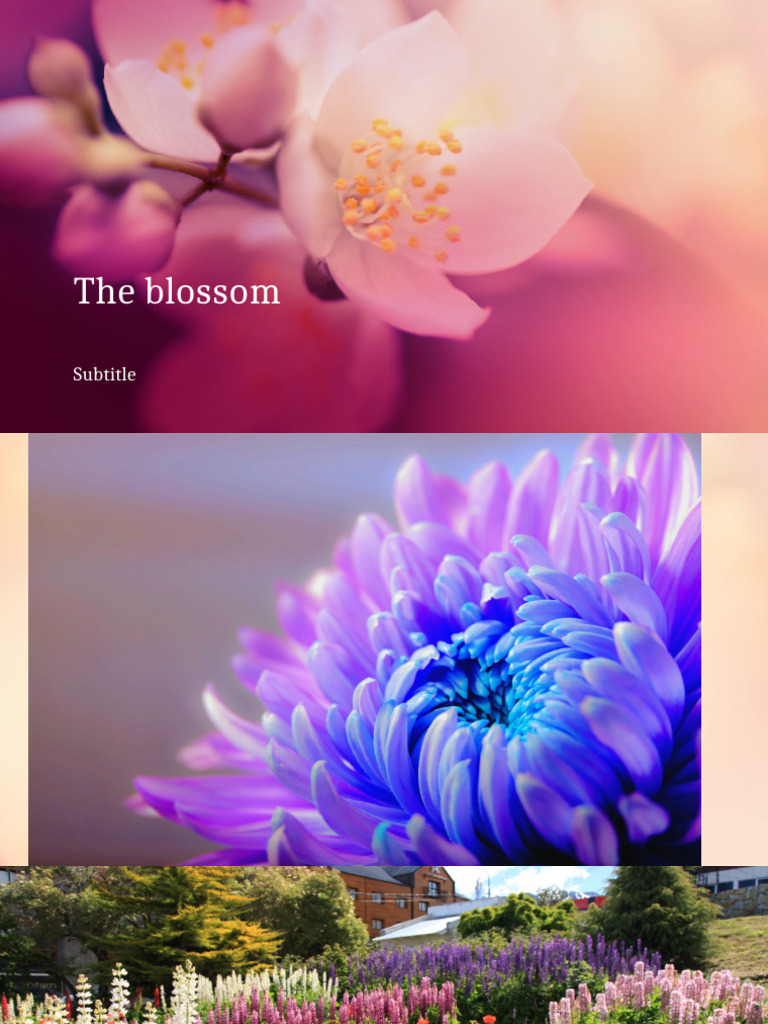 The Blossom | PDF