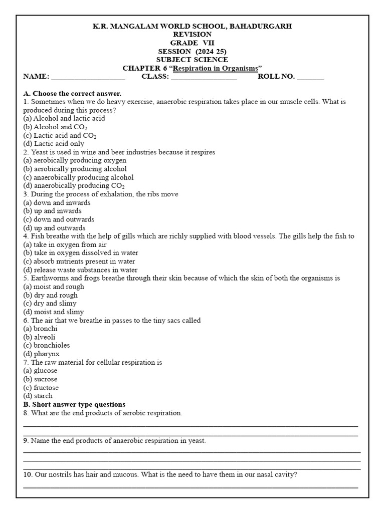 Class 7 Respiration Worksheet | PDF | Respiratory System | Respiration