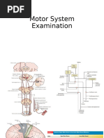 Wrist Flexion Muscle Testing Guide | PDF | Anatomical Terms Of Motion ...