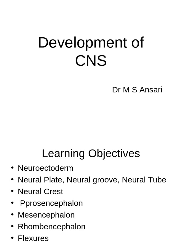 CNS Development and Neural Defects | PDF