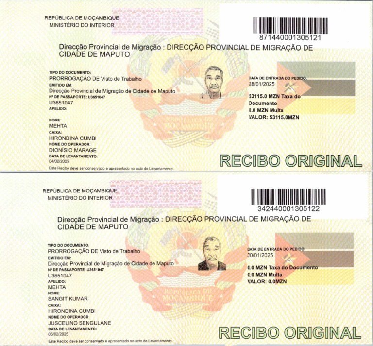 Immigration Maputo | PDF