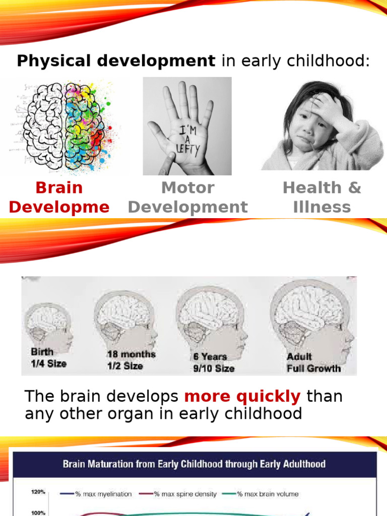 Early Childhood Brain Development Insights | PDF