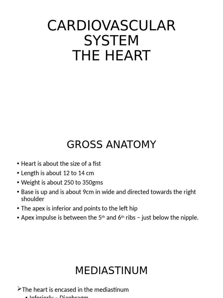 Cardiovascular System | PDF | Heart Valve | Ventricle (Heart)