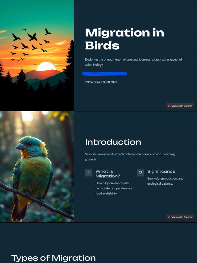 Migration-in-Birds - PDF Re | PDF | Bird Migration | Birds
