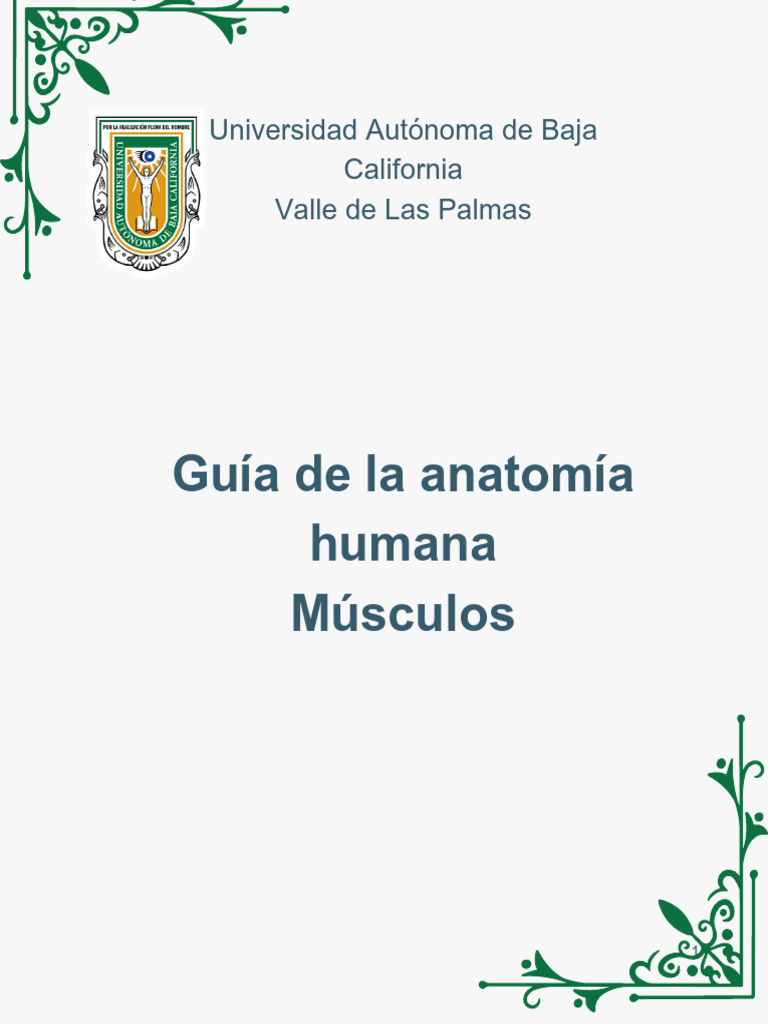 Guía Completa de Anatomía Humana | PDF | Anatomía humana | Sistema ...