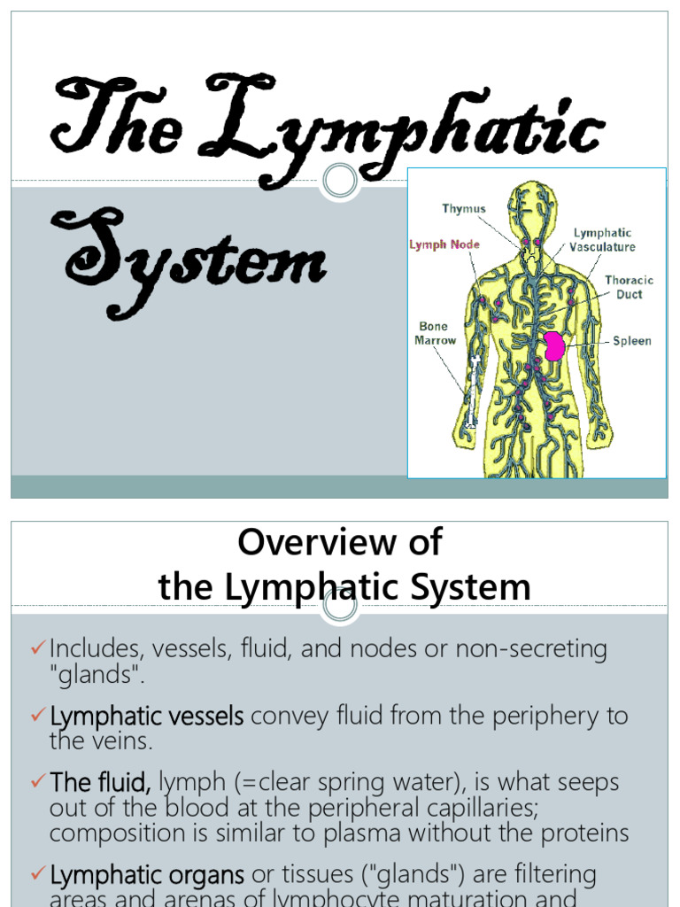 Lymphatic System Overview and Functions | PDF | Lymphatic System ...
