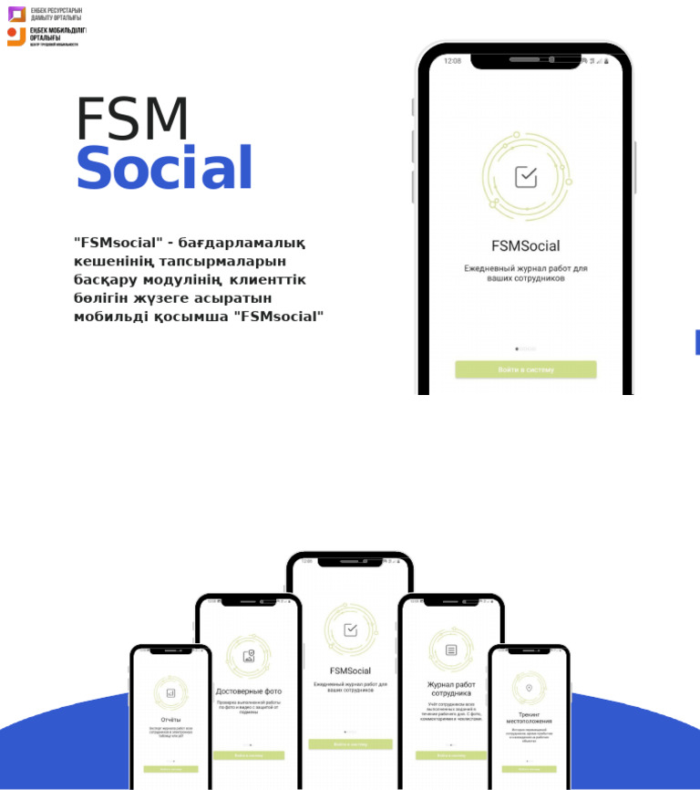 FSM Social - копия | PDF