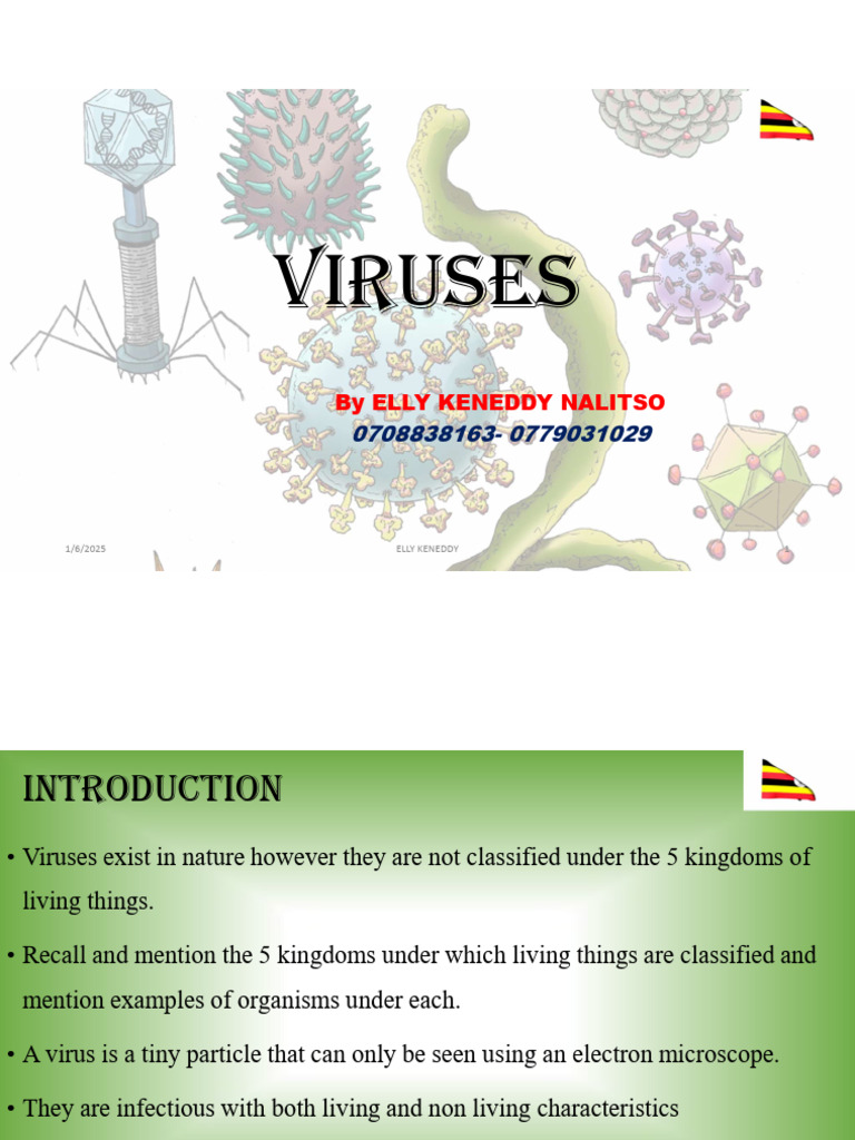 Understanding Viruses and Their Impact | PDF | Hiv/Aids | Virus