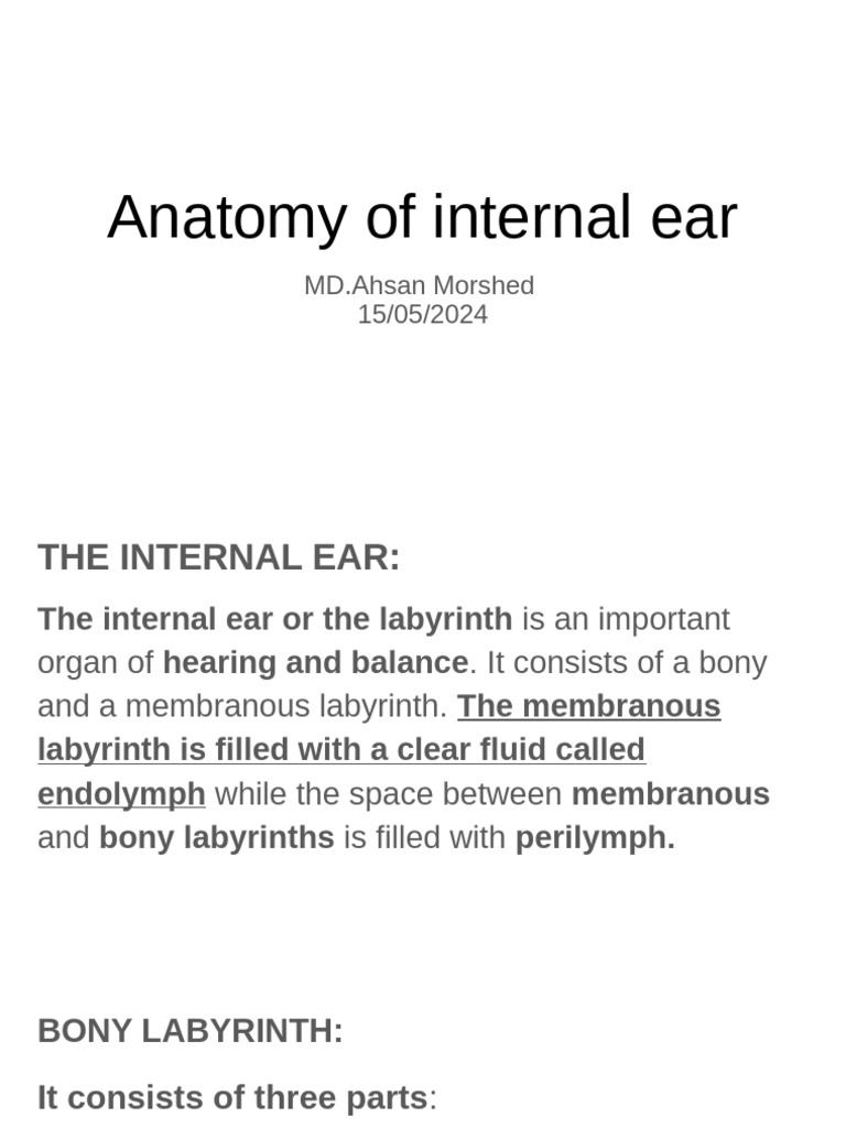 Internal Ear Anatomy Overview | PDF | Ear | Auditory System