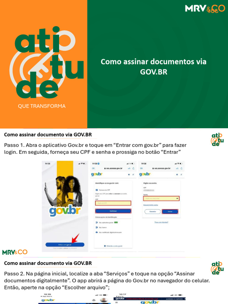 Assinatura Digital no GOV.BR: Passo a Passo | PDF