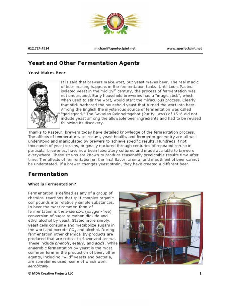 Yeast and Other Fermentation Agents Brewing Beer