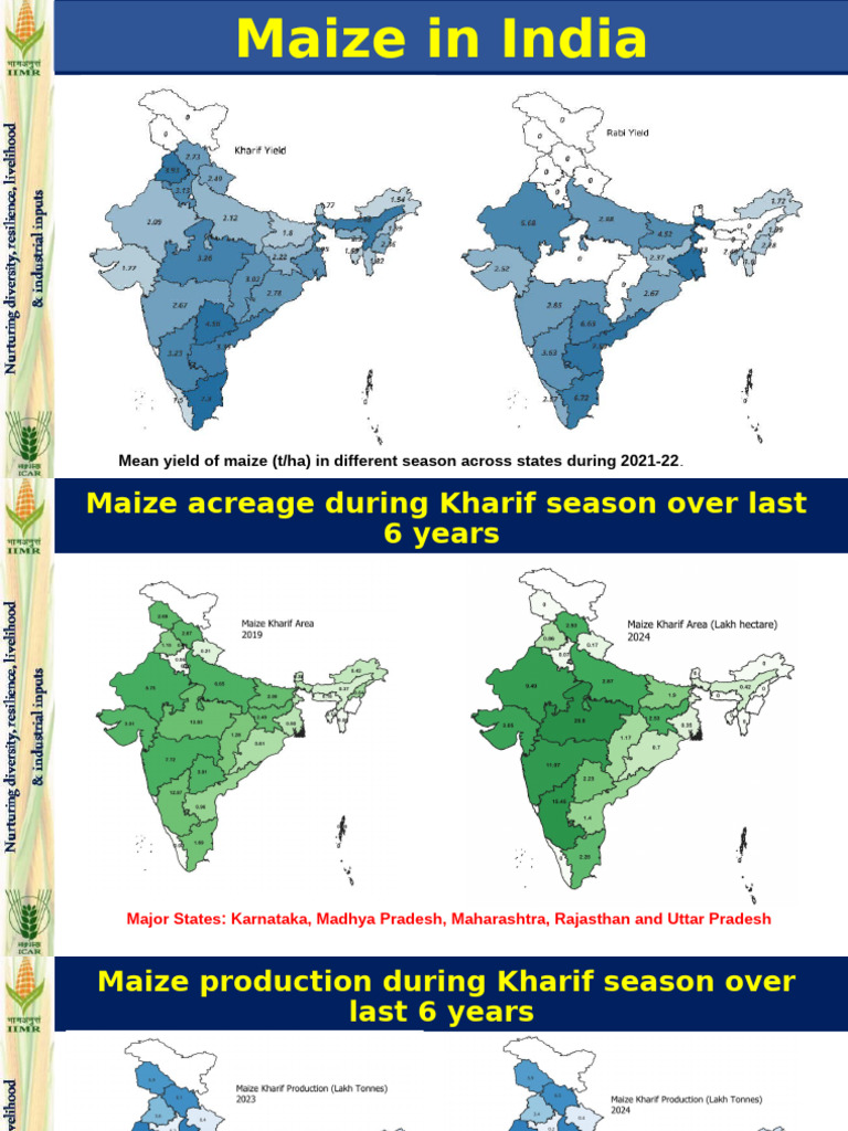 Maize Growth in India | PDF