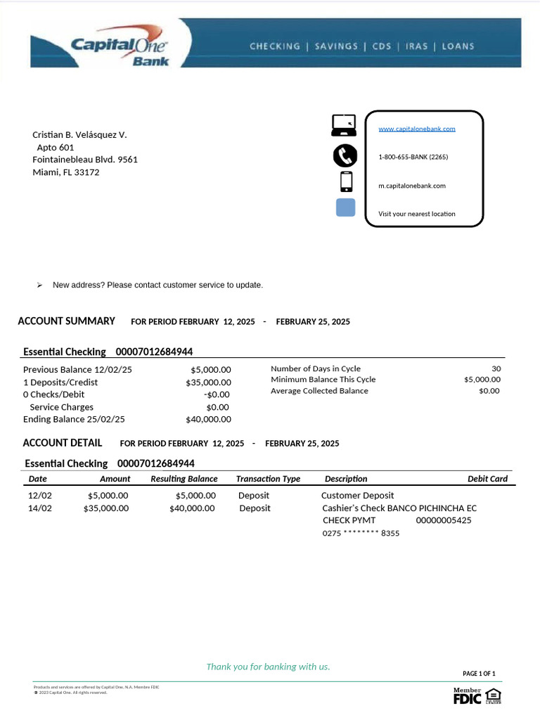 February 2025 Account Summary Report | PDF | Transaction Account | Banks