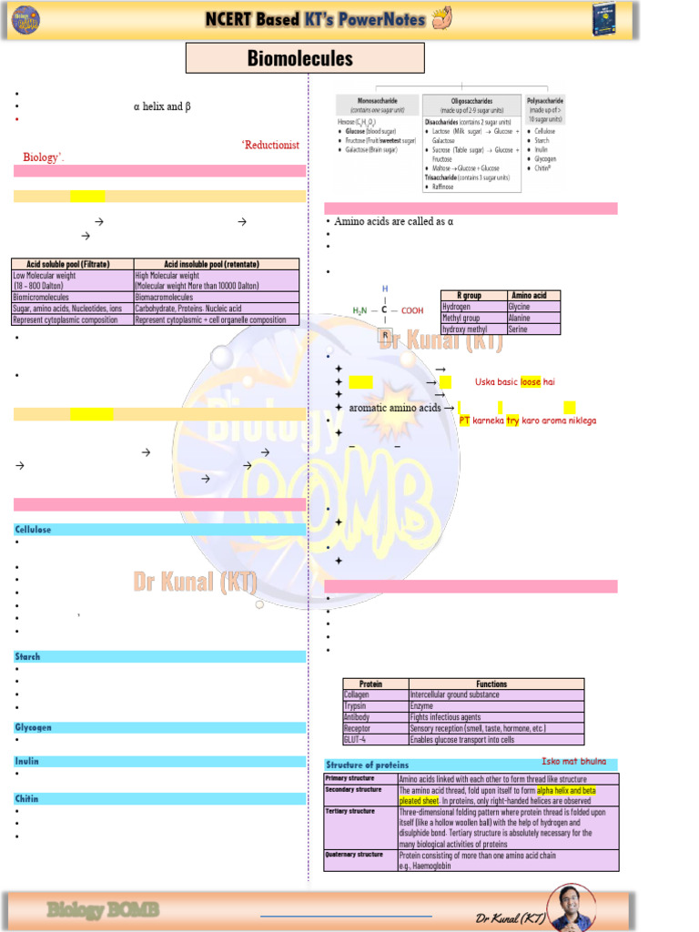Biomolecules PowerNotes by KT Sir | PDF | Enzyme | Metabolism