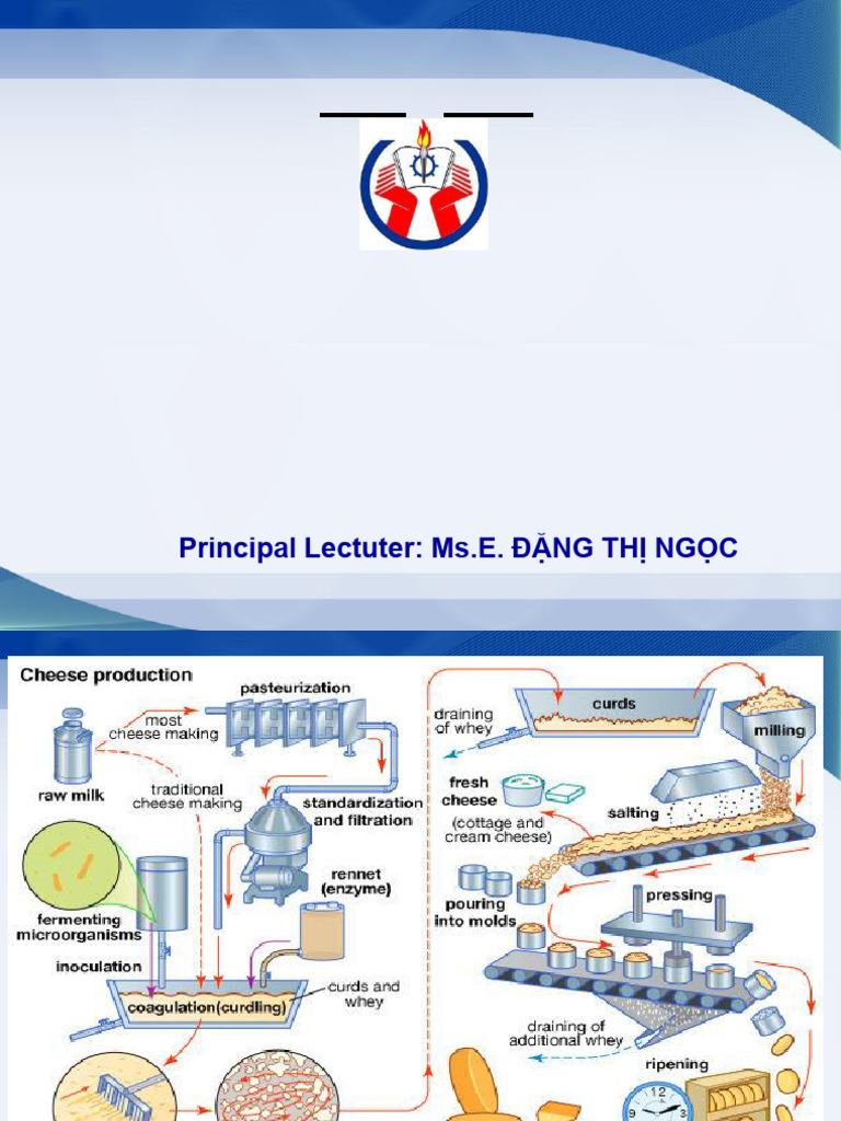 Cheese Production Process Overview | PDF | Cheese | Milk
