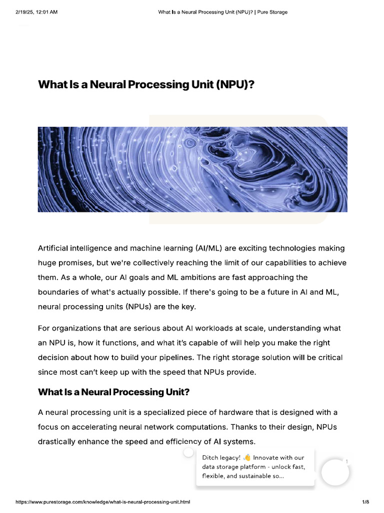 Npu 5 | PDF