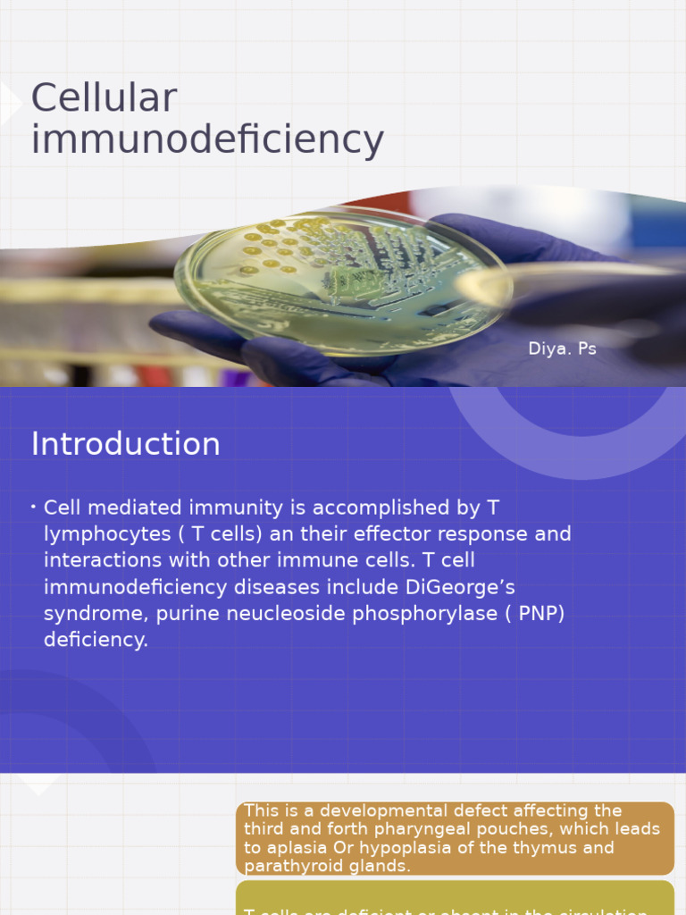 Presentation | PDF | Thymus | Immunodeficiency
