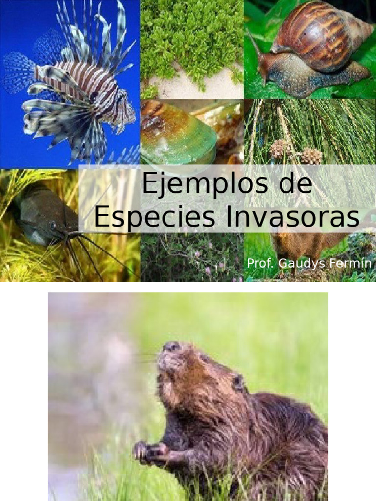 Ejemplos de Especies Invasoras | PDF