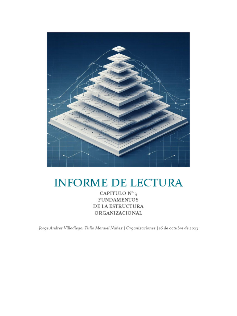 Fundamentos de Estructura Organizacional | PDF | Outsourcing | Diseño