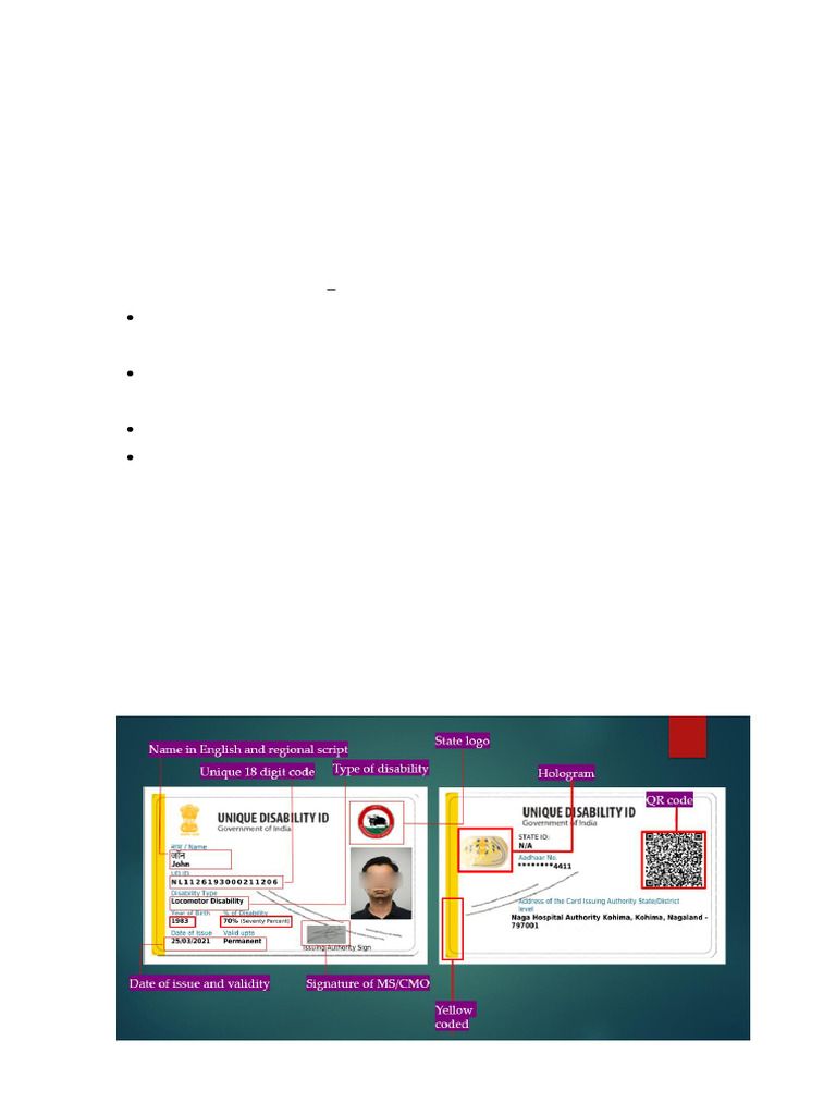 Understanding the UDID Card System | PDF | Neuron | Visual Impairment