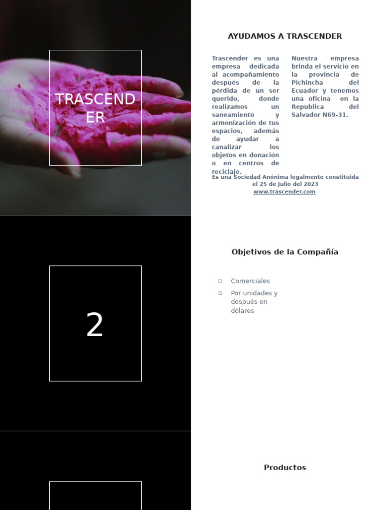 Transcender Empresa | PDF | Color | Blue