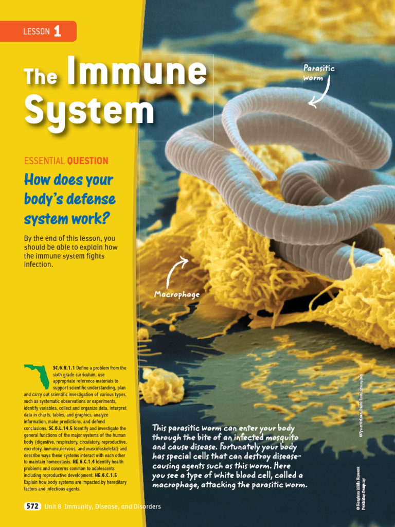 Understanding the Immune System | PDF | Immune System | Antigen