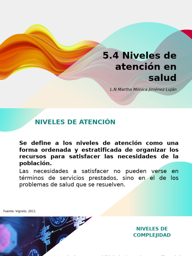 Niveles de Atención en Salud | PDF | Hospital | Medicina