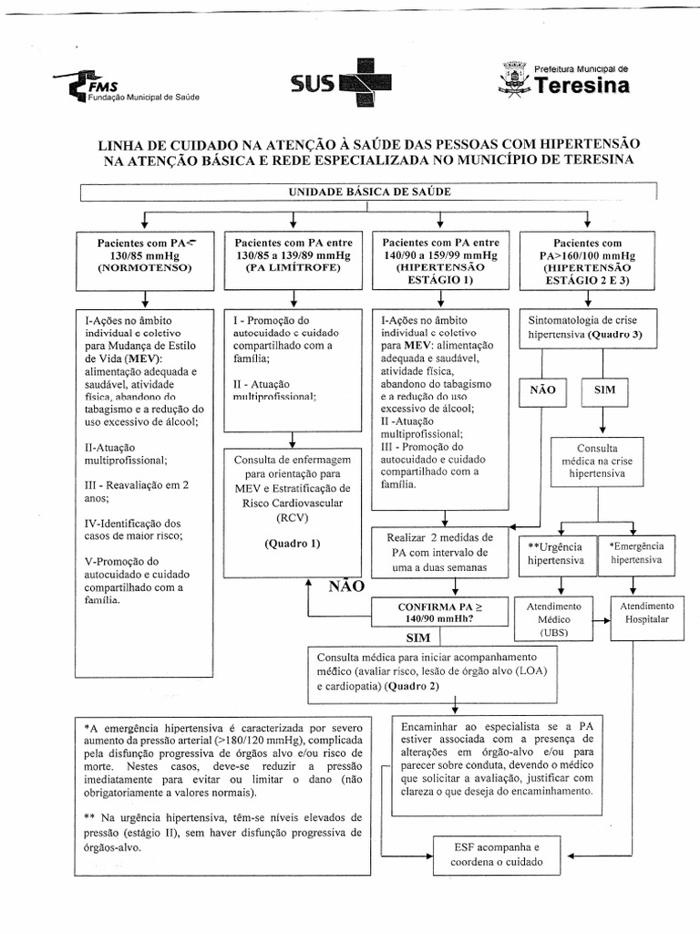 Classificação de Risco Cardiovascular II | PDF
