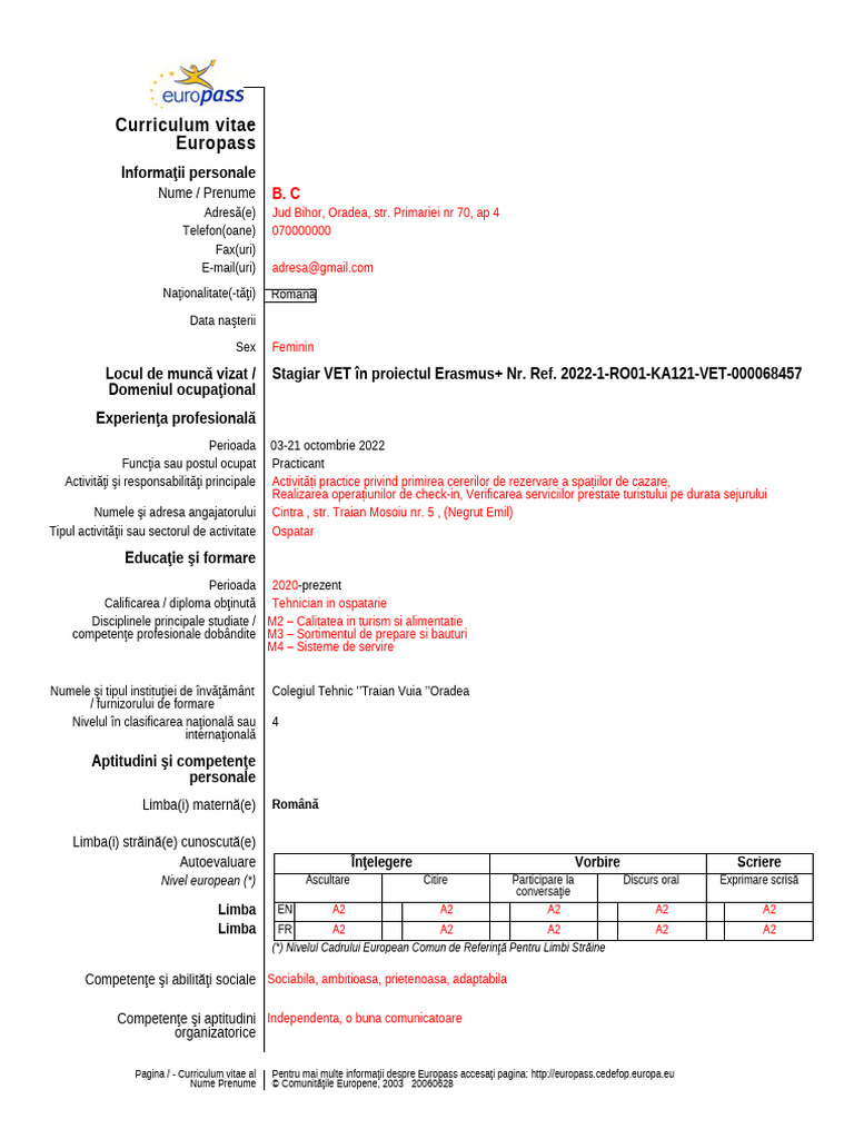 CV Model Completat | PDF