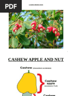 Cocoa Production Manual Final 2-Submitted To PS - A4 - 1 PDF | PDF ...