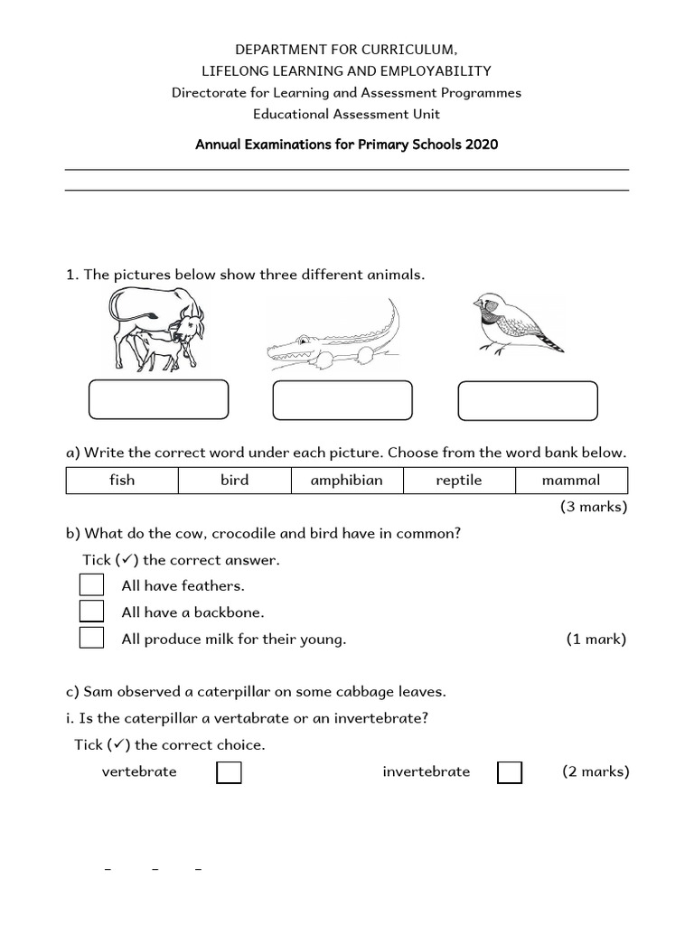 science_yr05_written_2020 (1) | PDF | Earth | Solar System