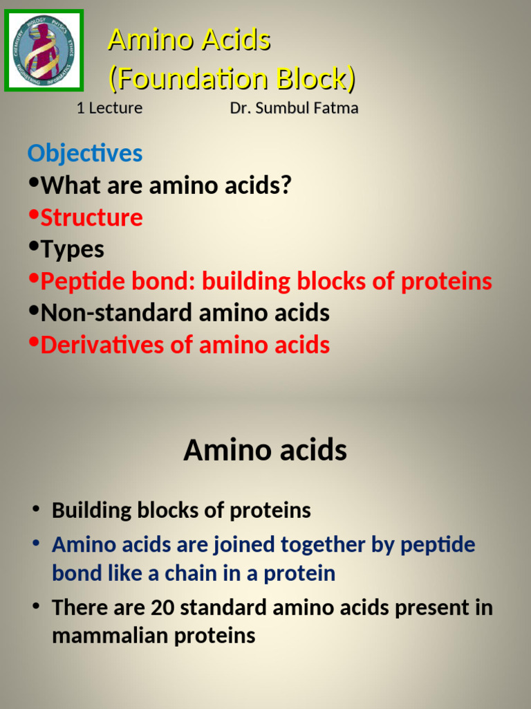 Understanding Amino Acids and Proteins | PDF | Amino Acid | Acid